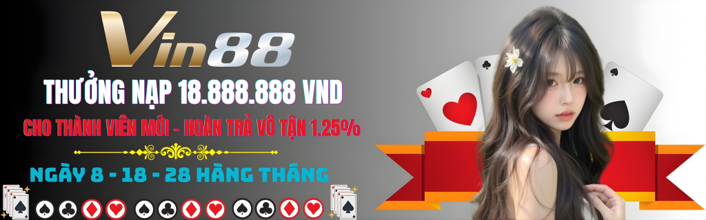 banner vin88